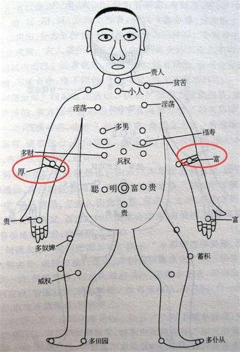 手臂長痣代表什麼|從手上的痣看你的好運在哪？上手臂有痣善於 ...